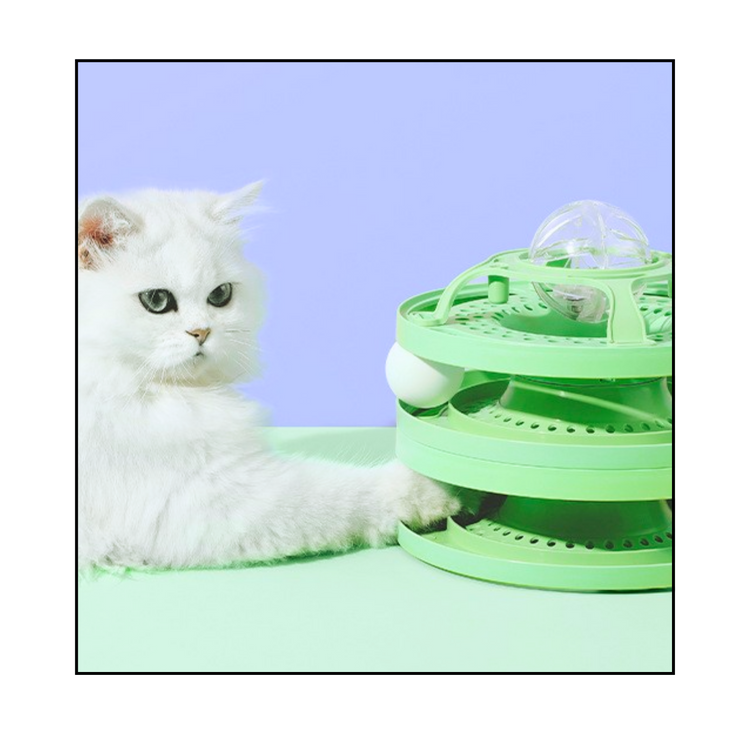 Interactive Cat Toys