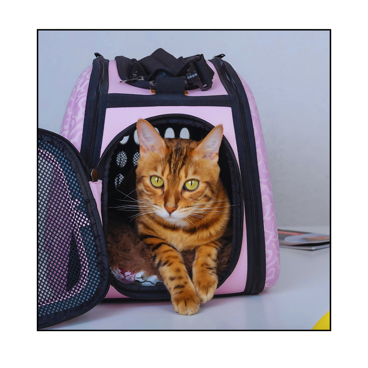Cat Travel