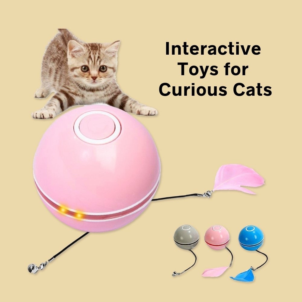 LED Cat Ball – Automatic Play for Active Cats