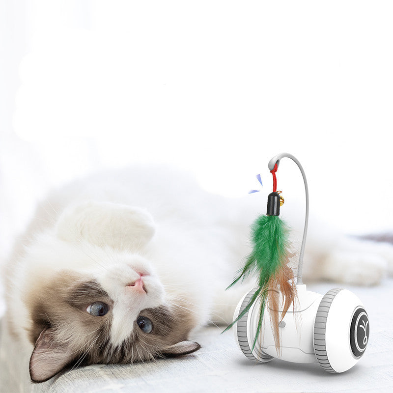 Interactive Robotic Cat Toy with Interchangeable Feather Heads