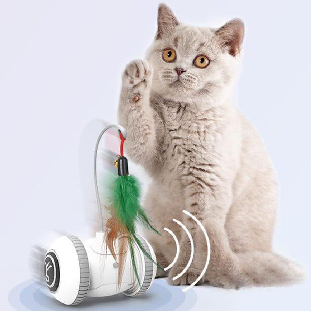 Interactive Robotic Cat Toy with Interchangeable Feather Heads