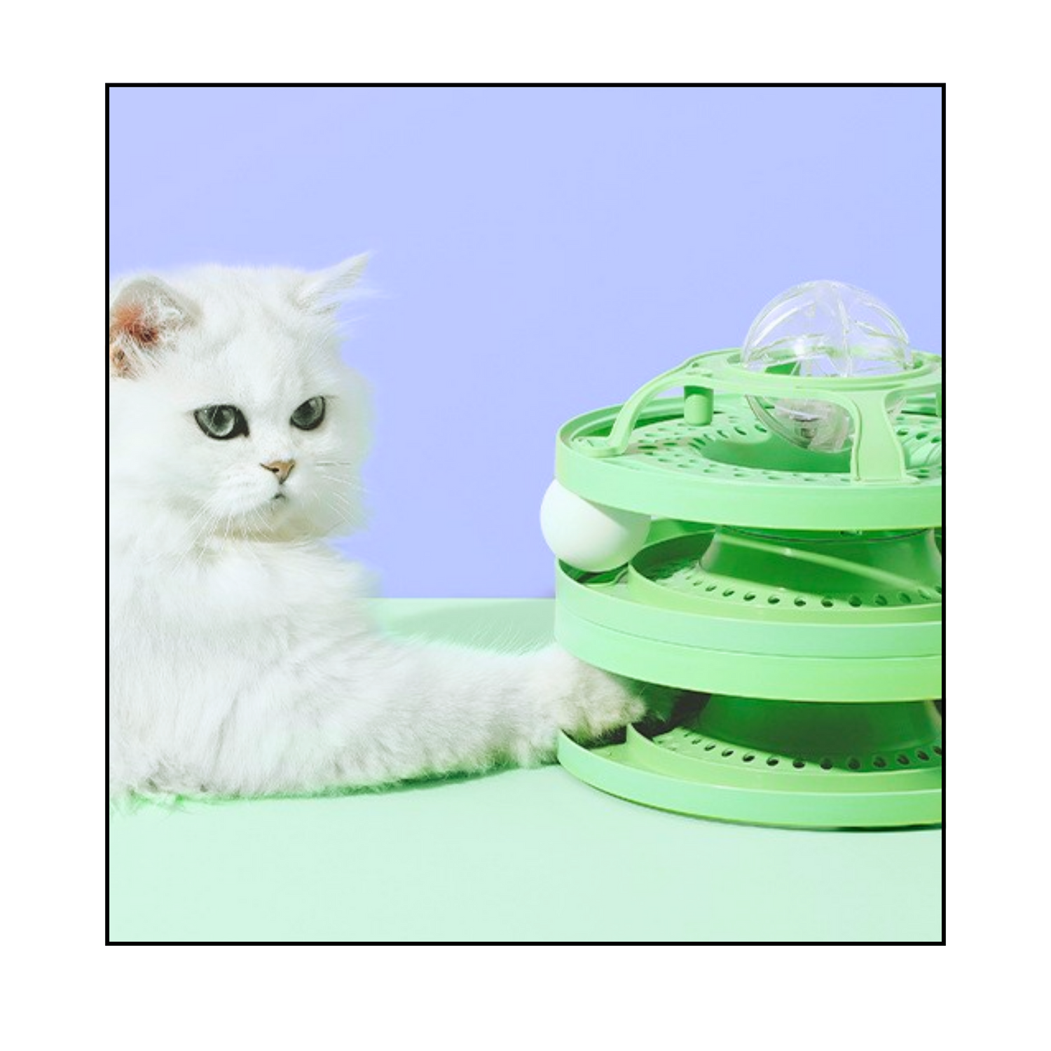 Interactive Cat Toys