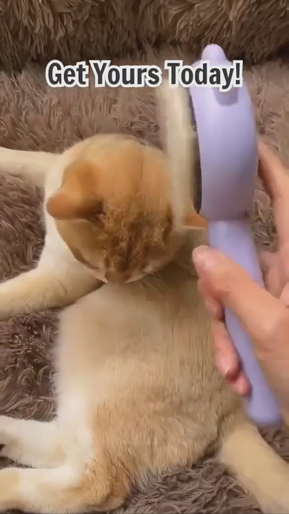 Cat Massage & Hair Removal Comb